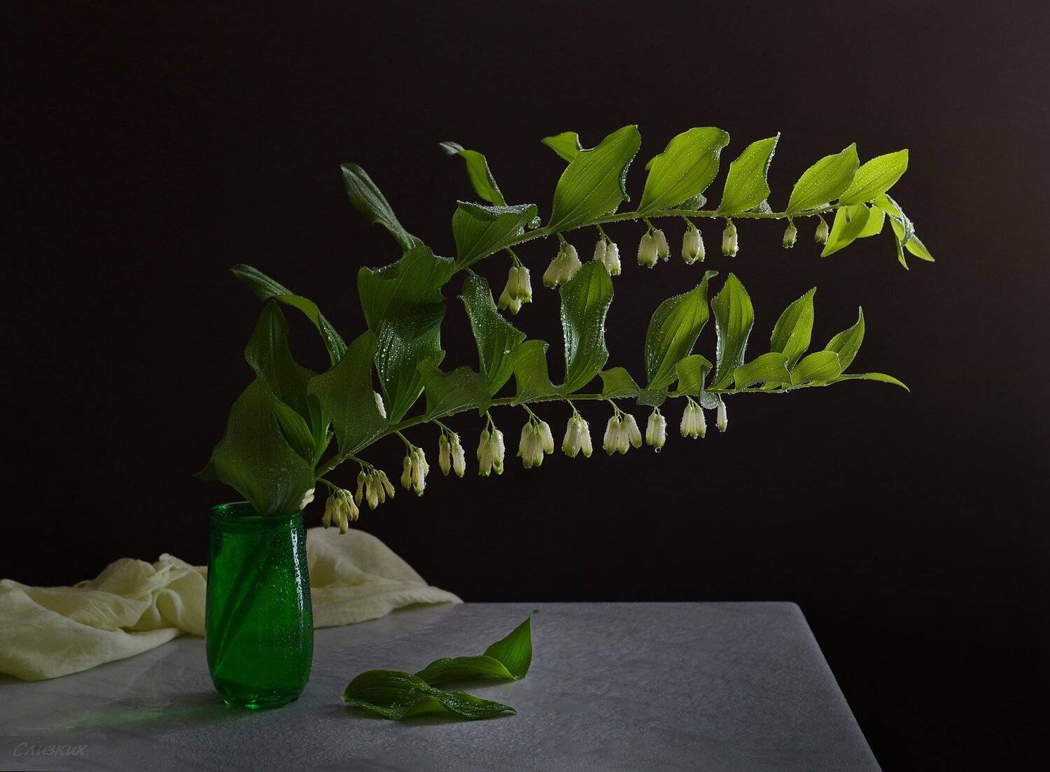 натюрморт,этюд,свет,букет,купена,лето, Инаида