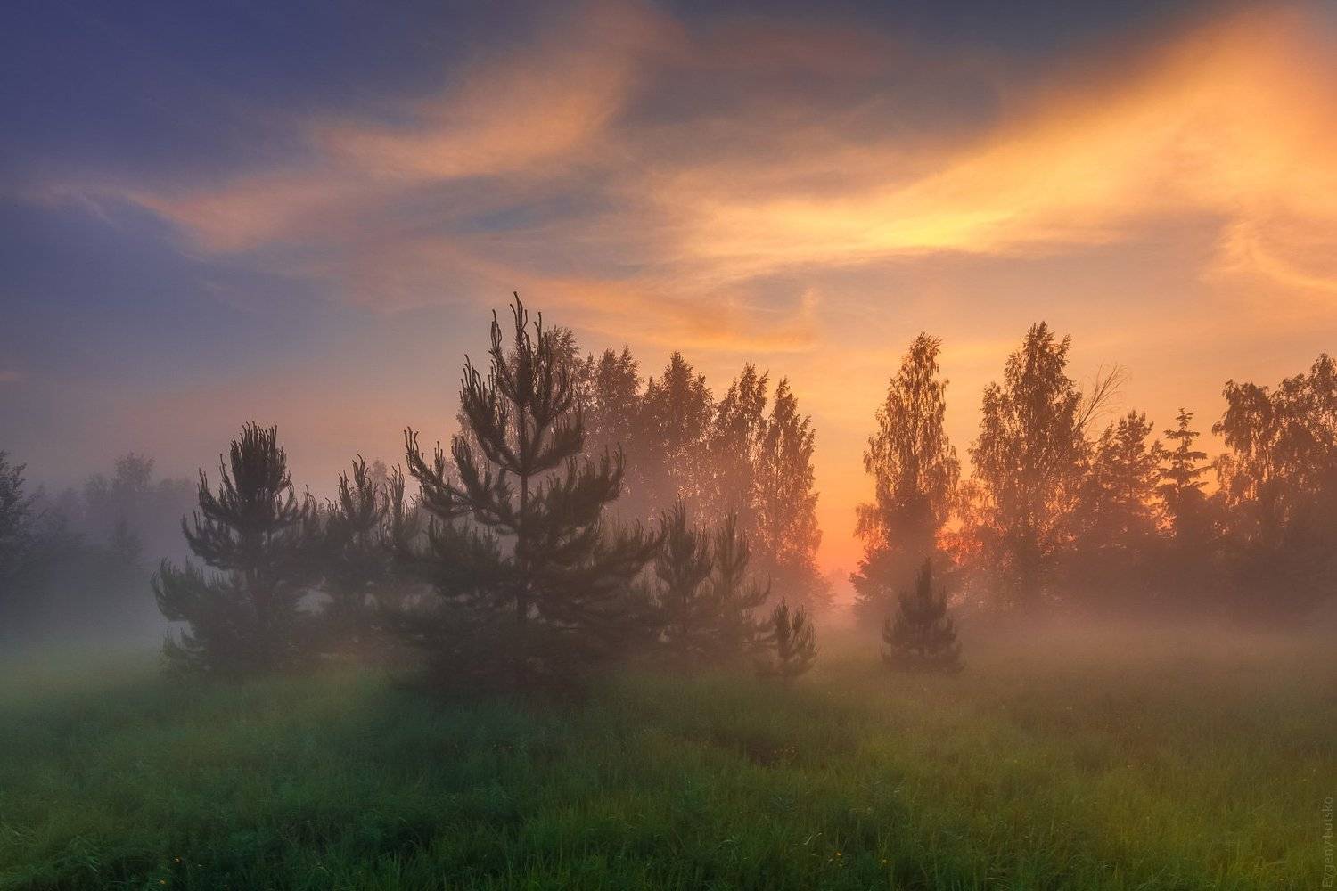 , Евгений Луцко