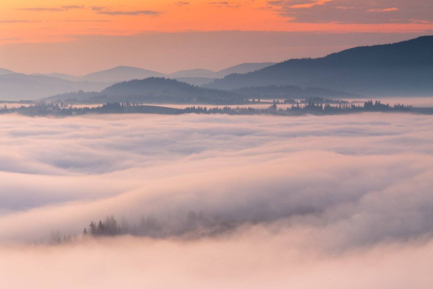 горы, карпаты, лето, рассвет, туман, украина, утро, Вейзе Максим