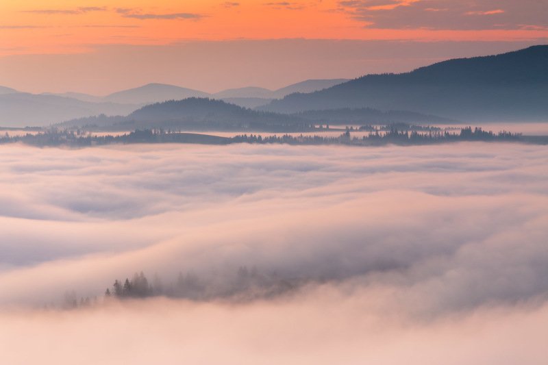 горы, карпаты, лето, рассвет, туман, украина, утро Летнее утро над Пилипцом фото превью