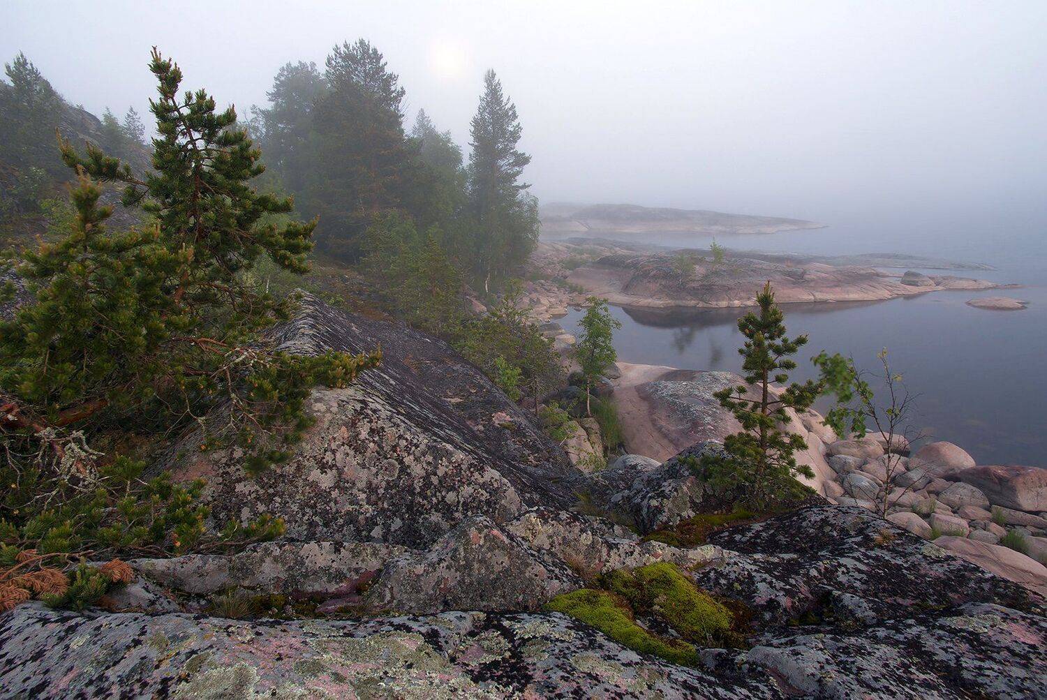 ладога карелия, Виктор