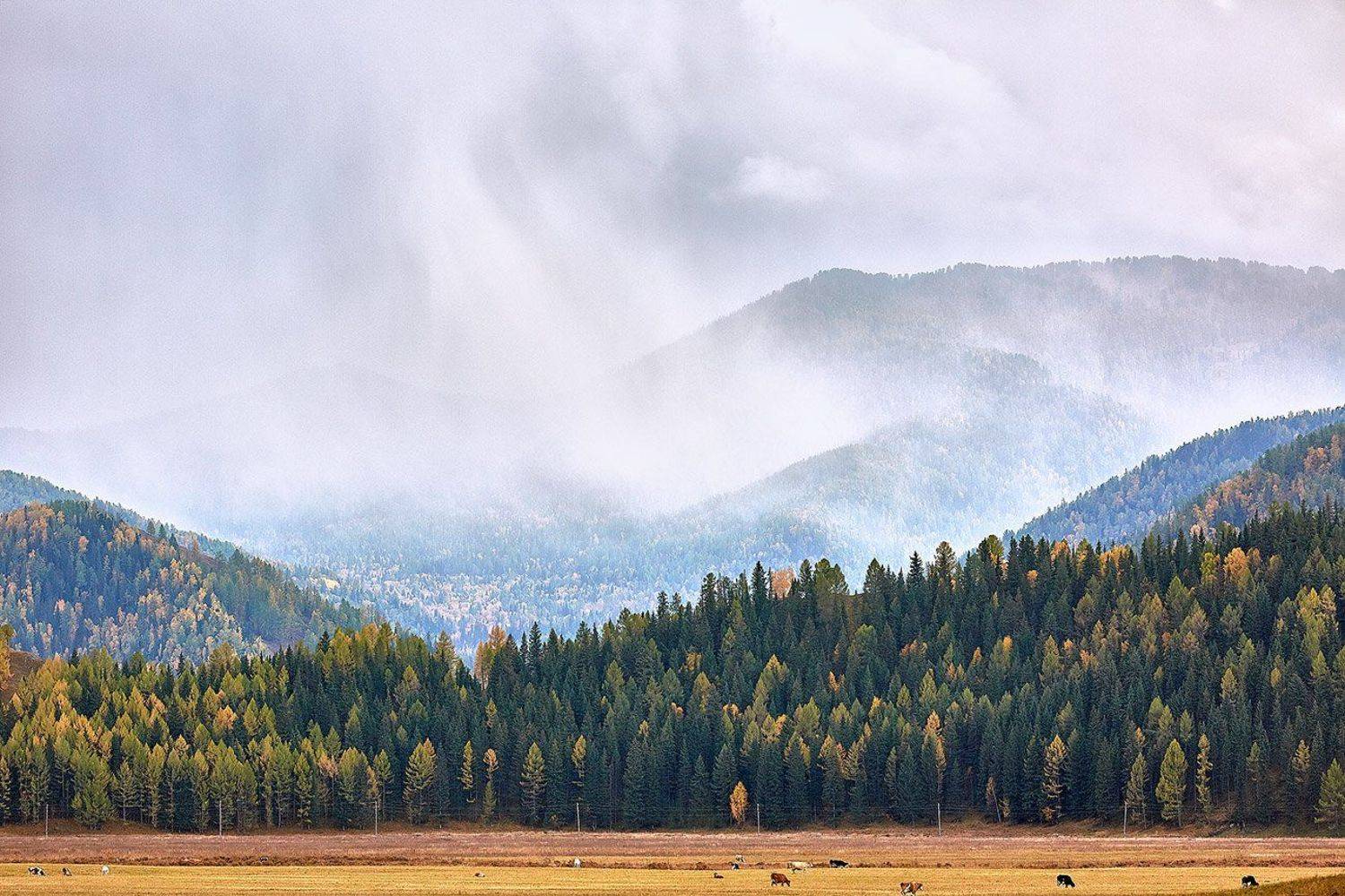 , Качурин Алексей