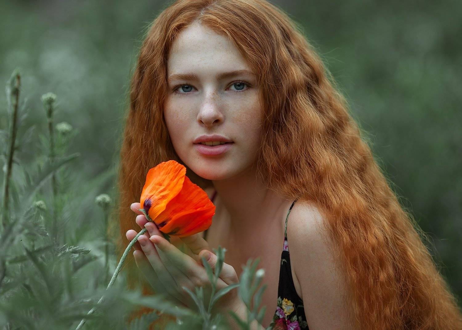 , Денис Котов