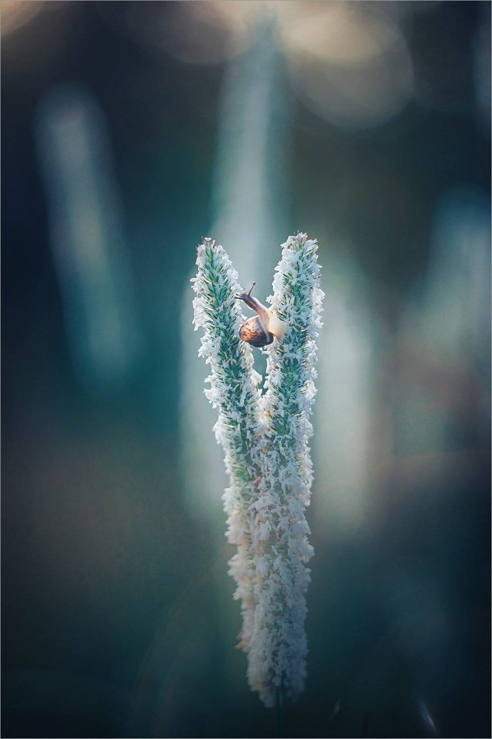 , Рудченко Анатолий