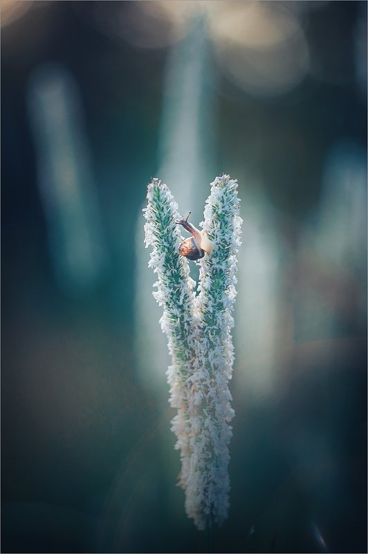 Ну, могЁм! Не могЁм, а мОгем!  фото превью