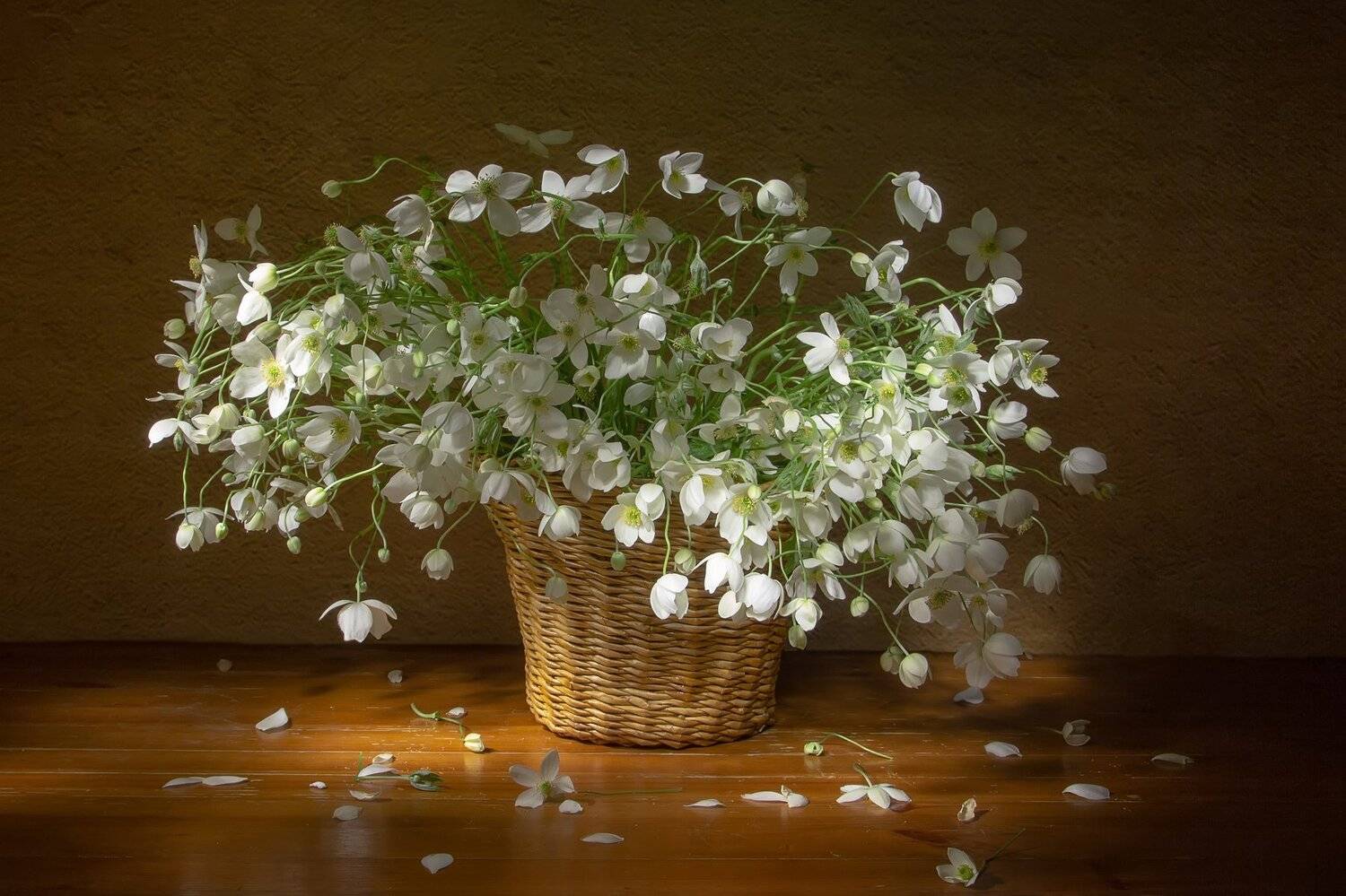 натюрморт, нежность, анемоны, корзинка, Татьяна Феденкова