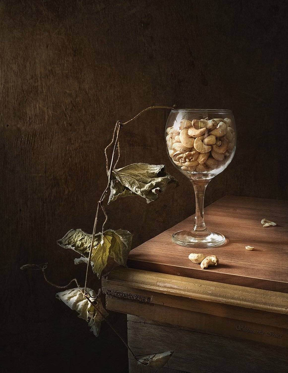 , Шипунова Ирина