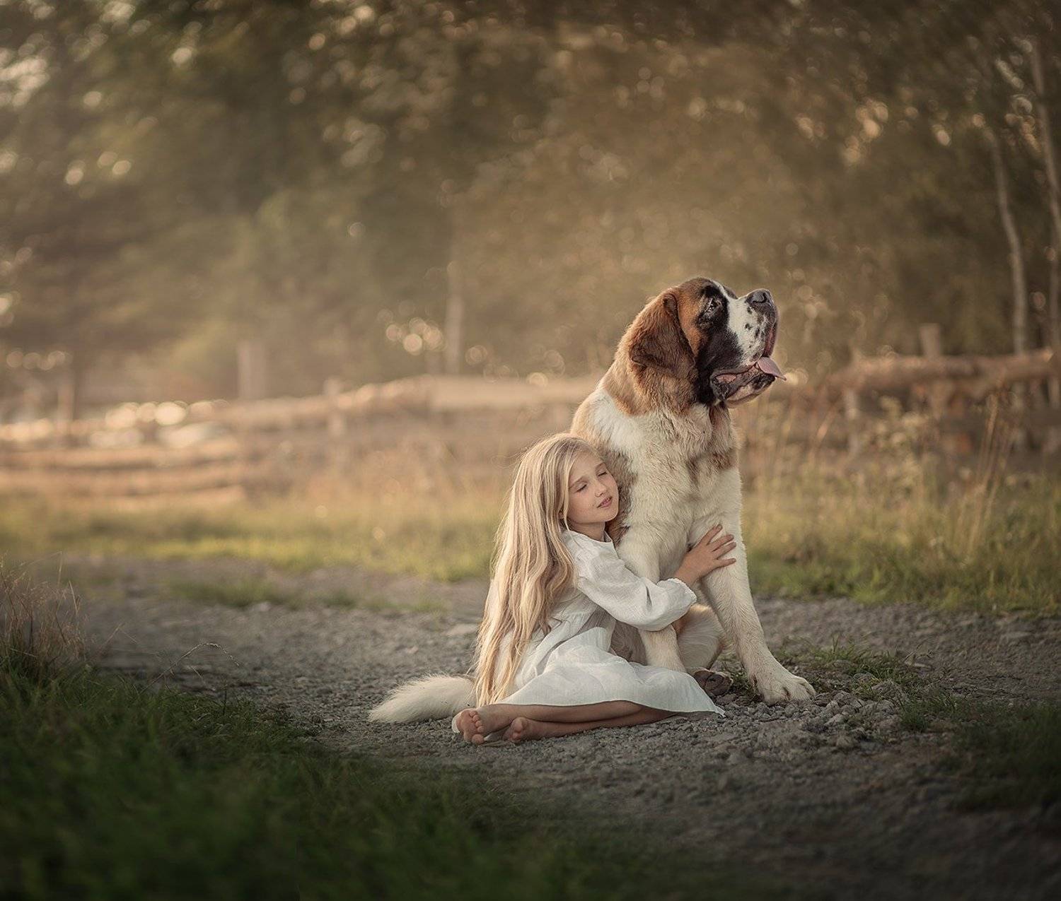 , Дарья Степанова