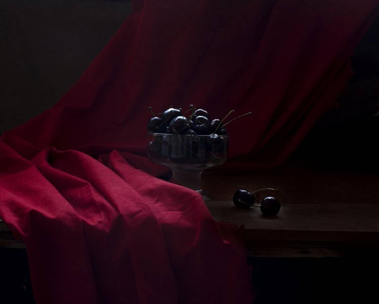 , Синегубова Ольга