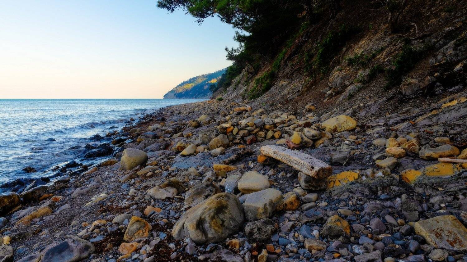 , Alexander Plekhanov