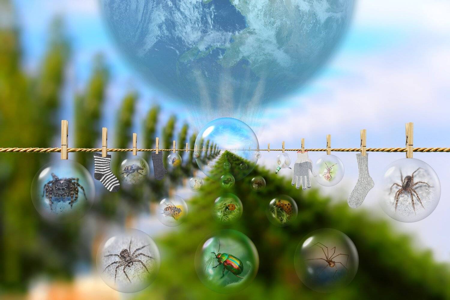 креатив, обработка, концепция, сюрреализм, фэнтези, concept, surrealism, fantasy, portal, matrix, Дмитрий Салтыков