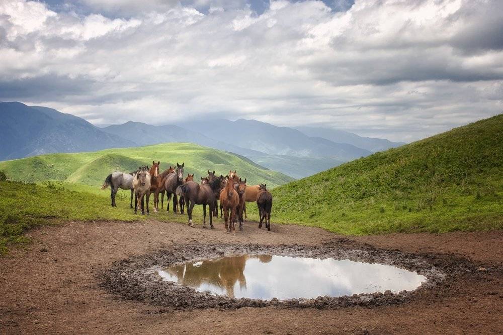 кыргызстан, горы, Элина Магалимова