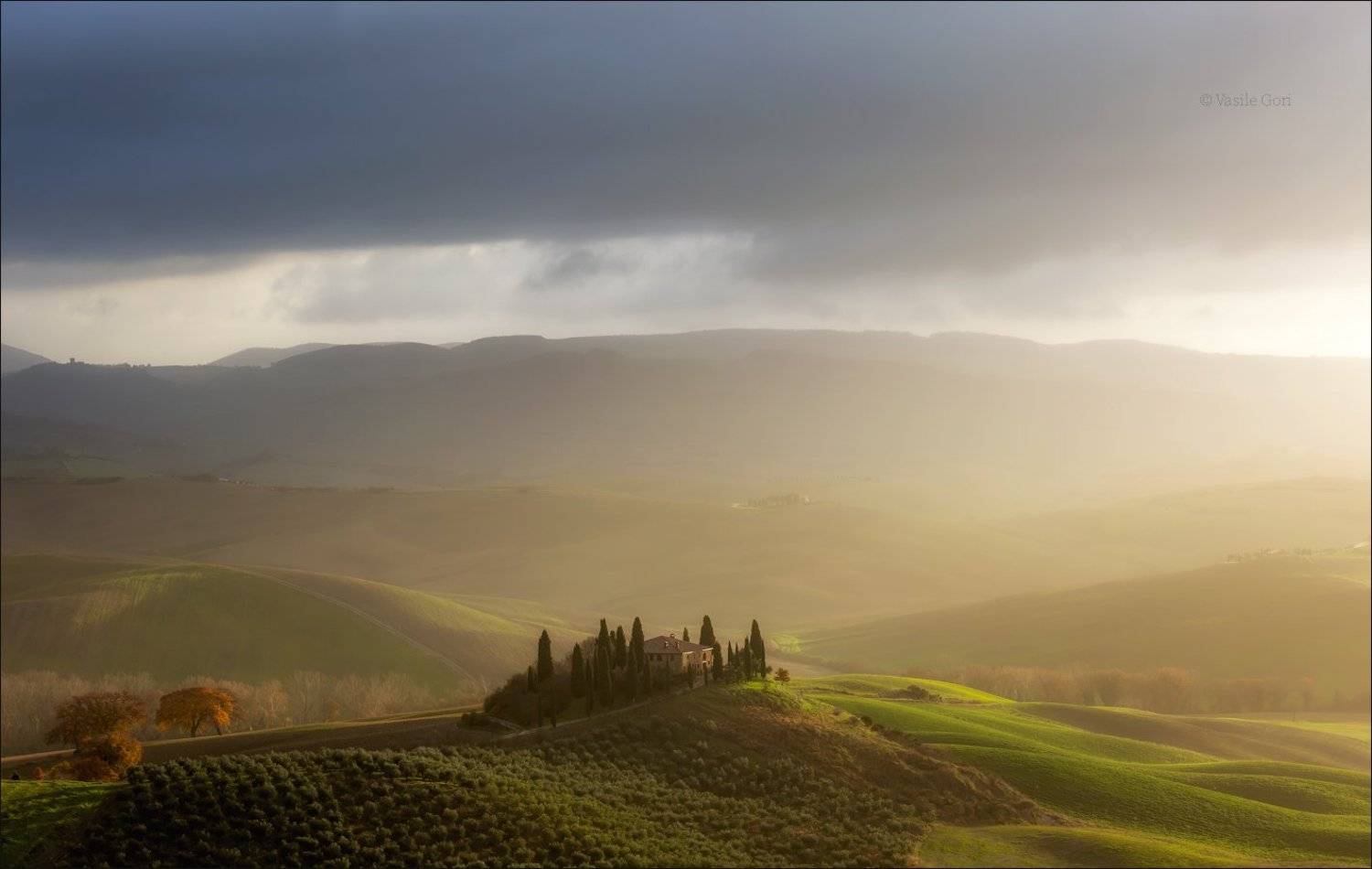 italy,san quirico d\\\'orcia,italia,свет,пейзаж,италия,тоскана,дерево,toscana,зима,tuscany,бельведере,пейзажи тосканы,morning,colors,fog, Василий Гори