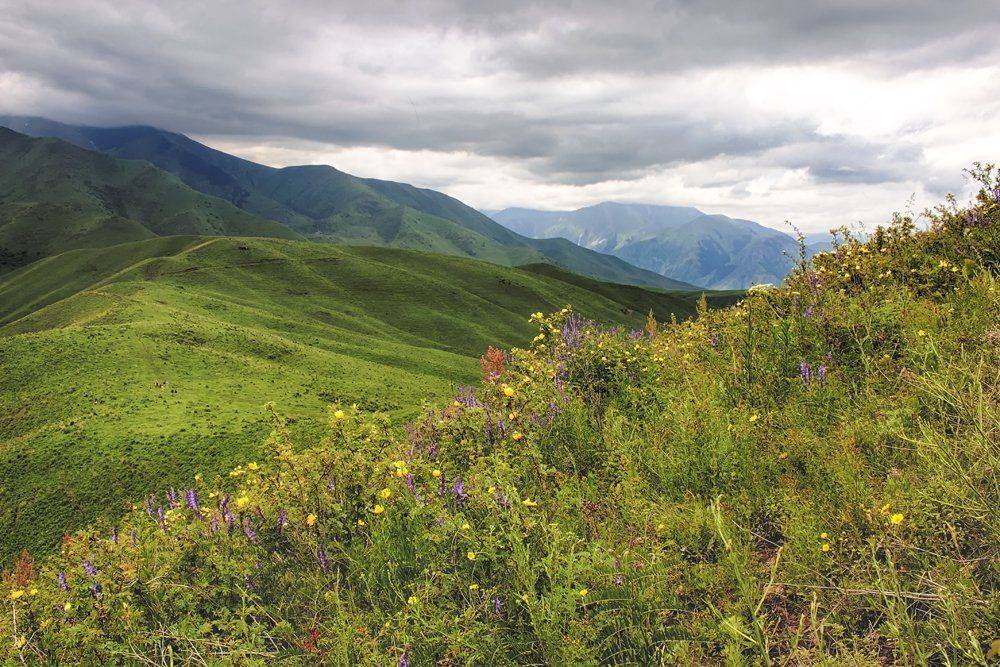 кыргызстан, горы, Элина Магалимова