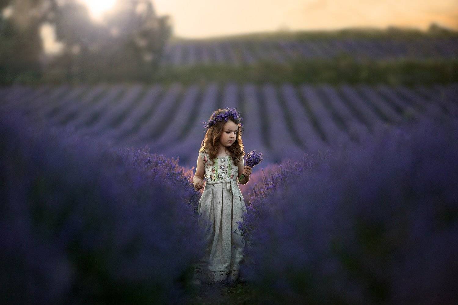 детская фотография, портрет, природа, лаванда, lavender, Татьяна Кудрова