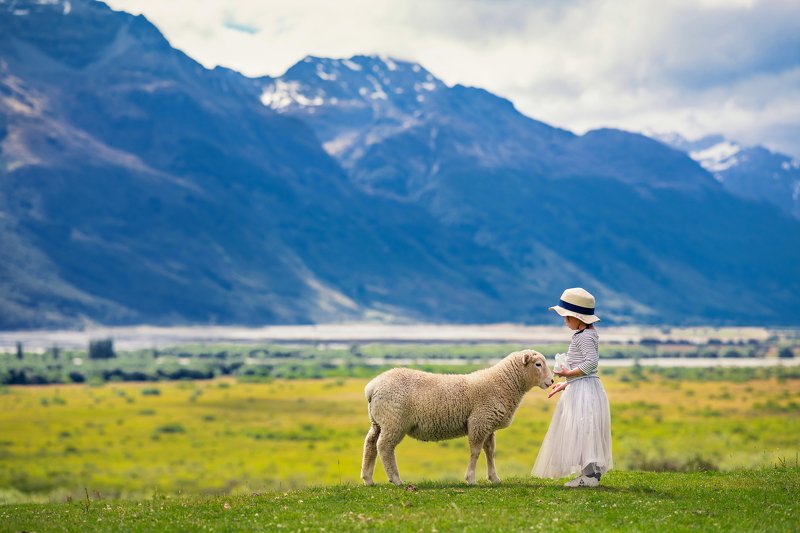 *** фото превью