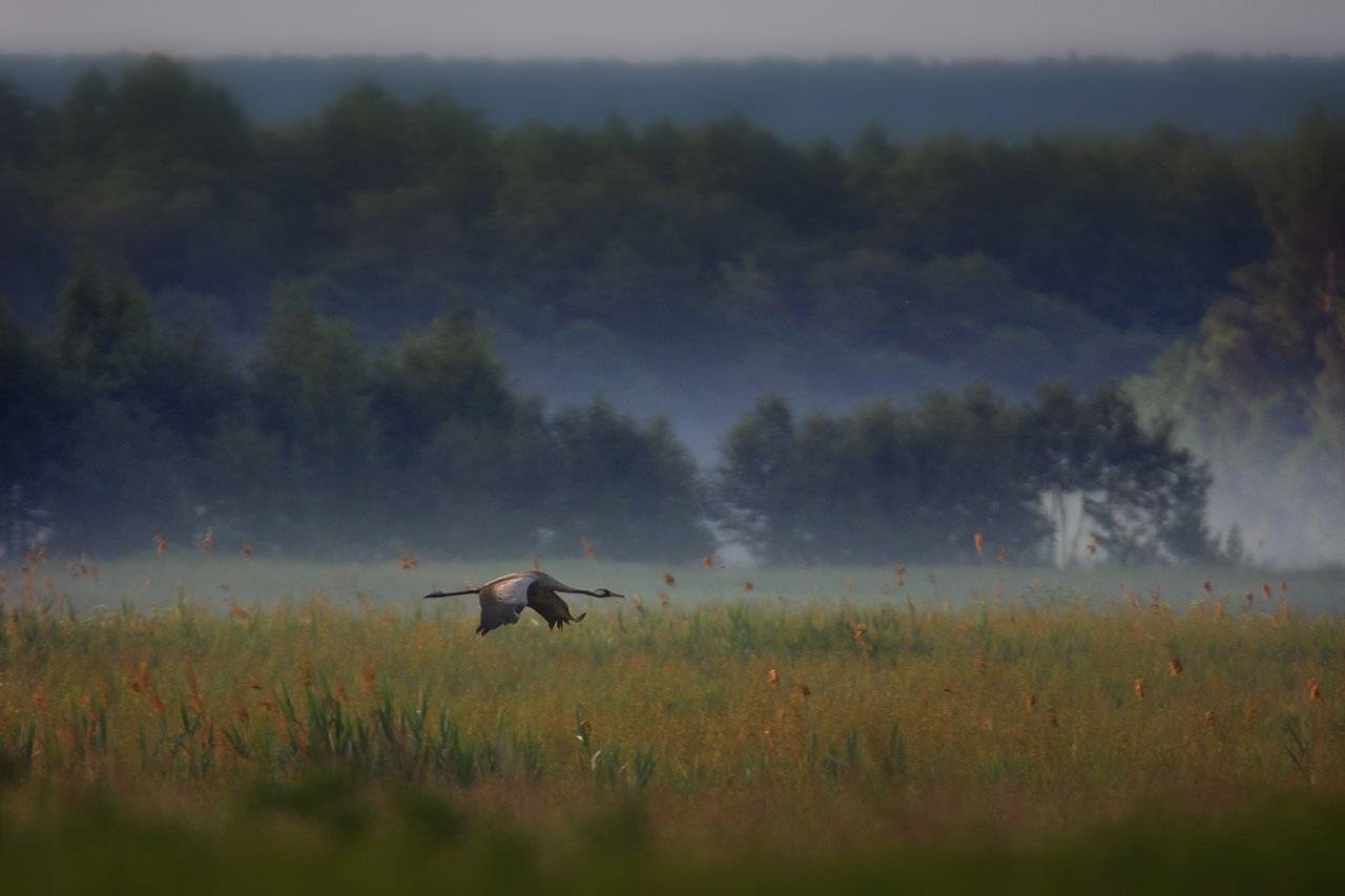 , Валерий Субачев