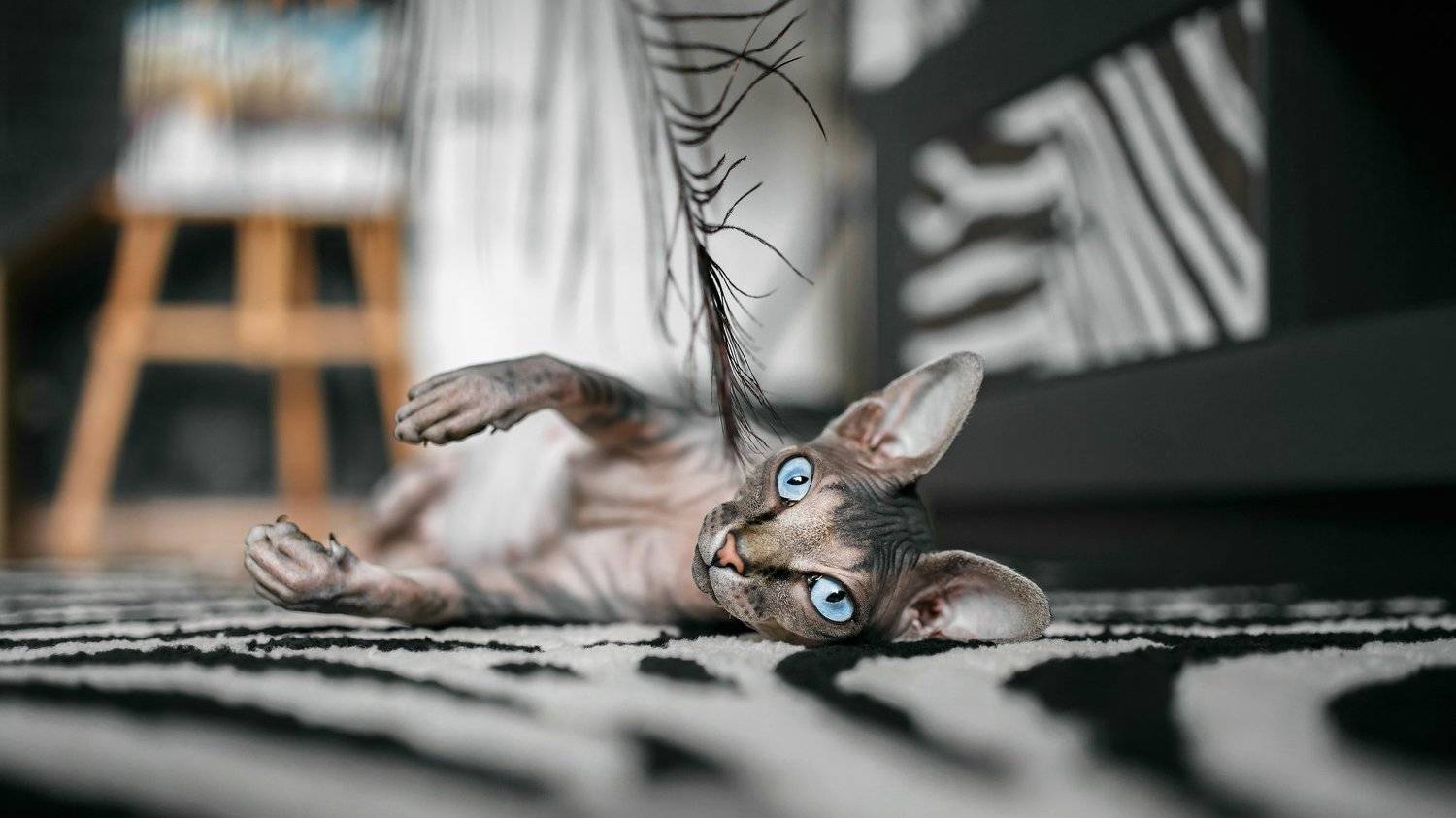 , Перерва Дмитрий