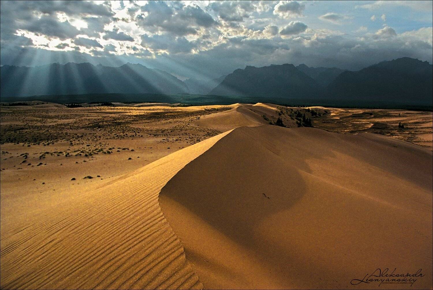 забайкальский, край, Александр Леснянский