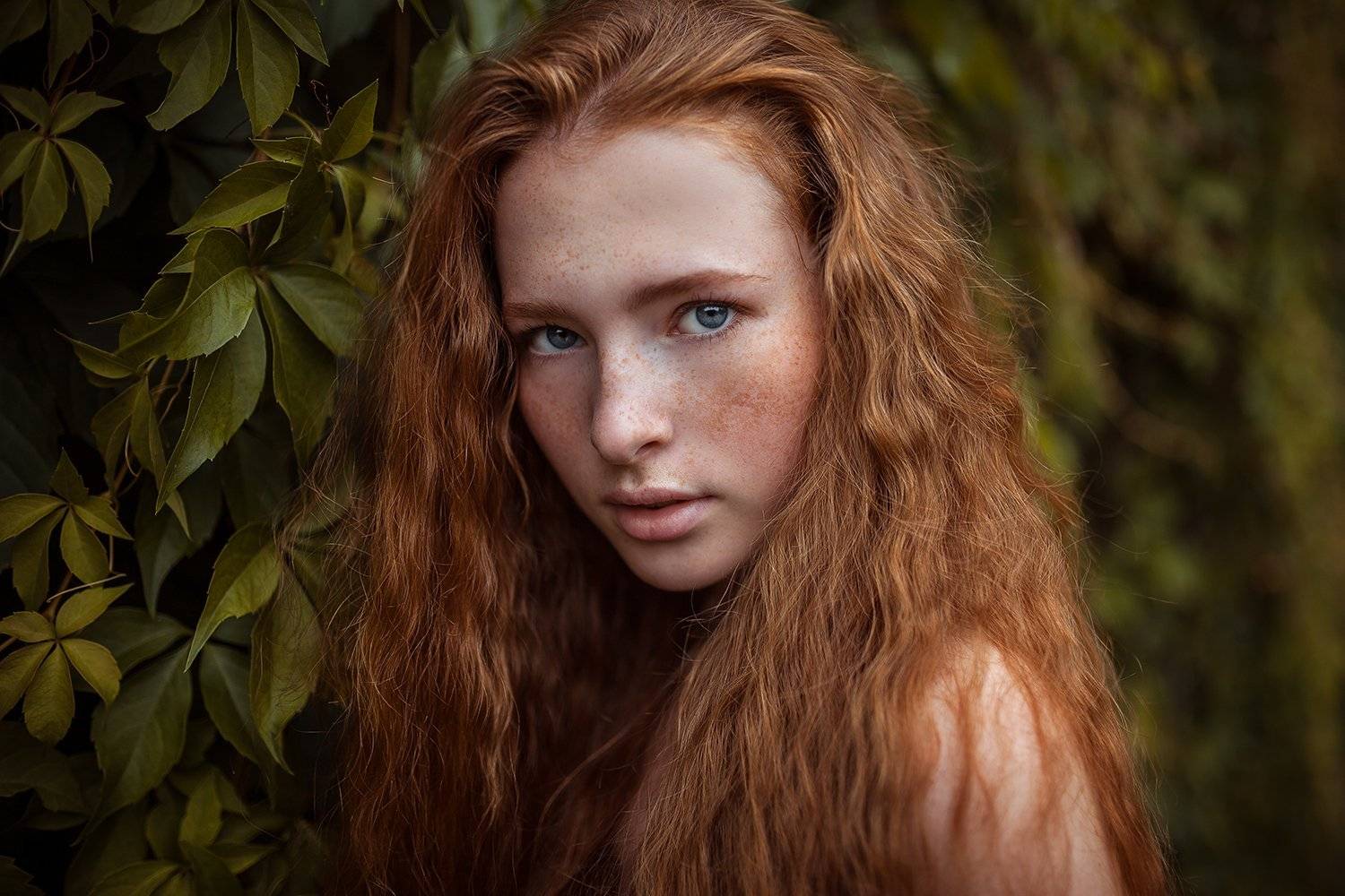 , Денис Котов