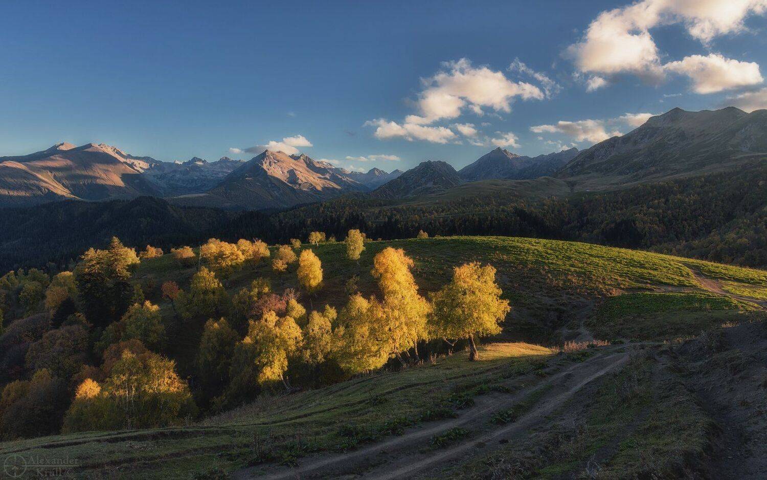 , Александр Круль