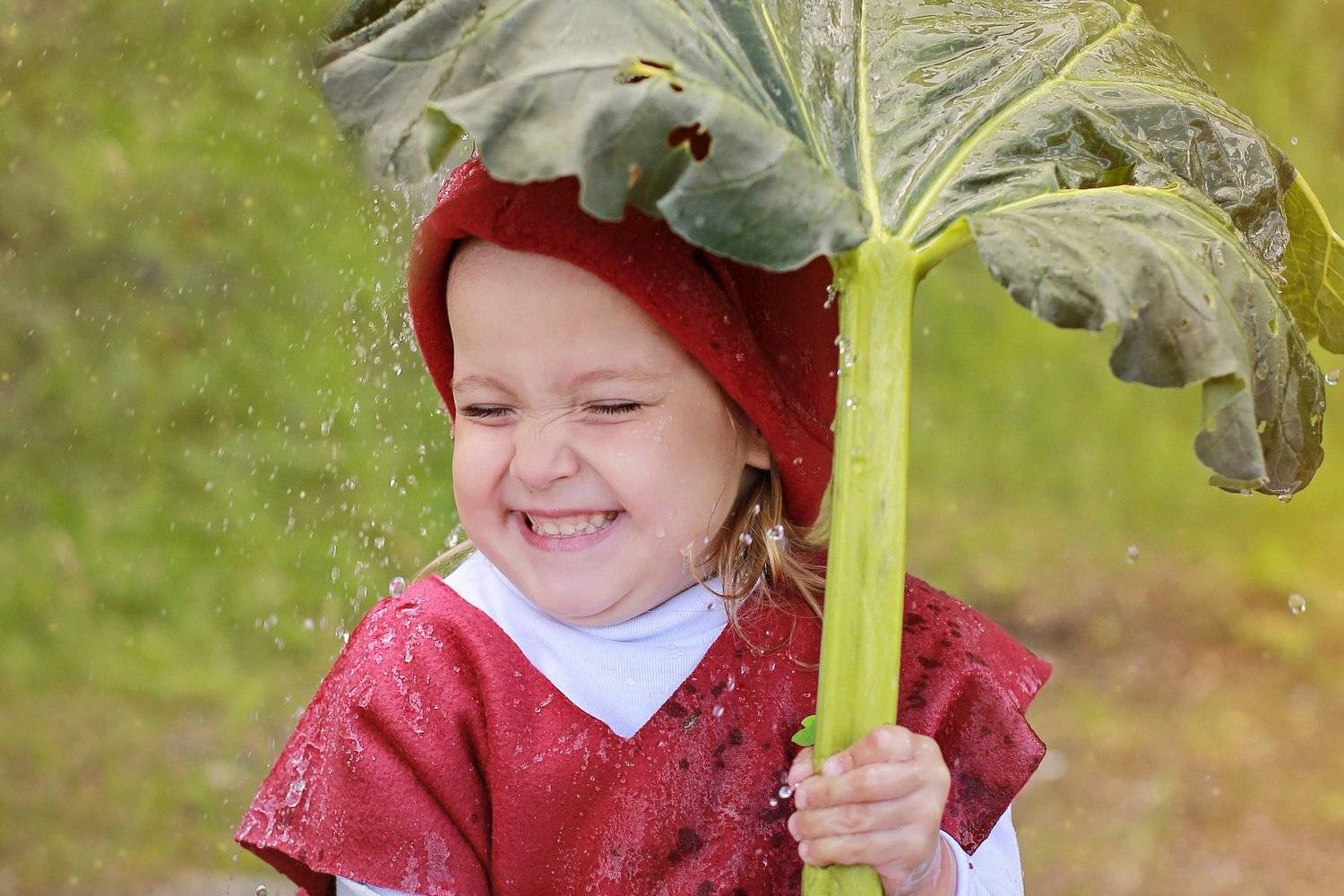 , Римма Алеева