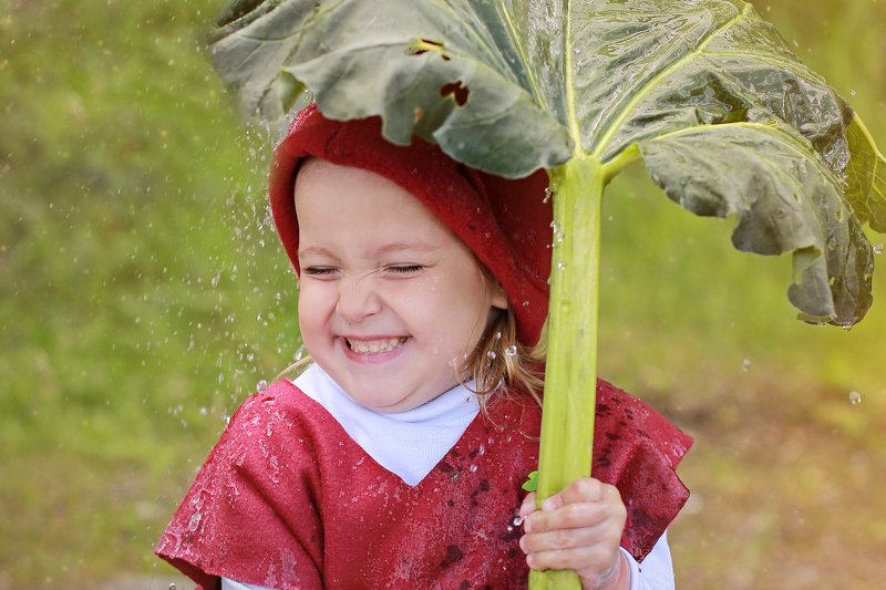 Как Гномик от дождя прятался! фото превью
