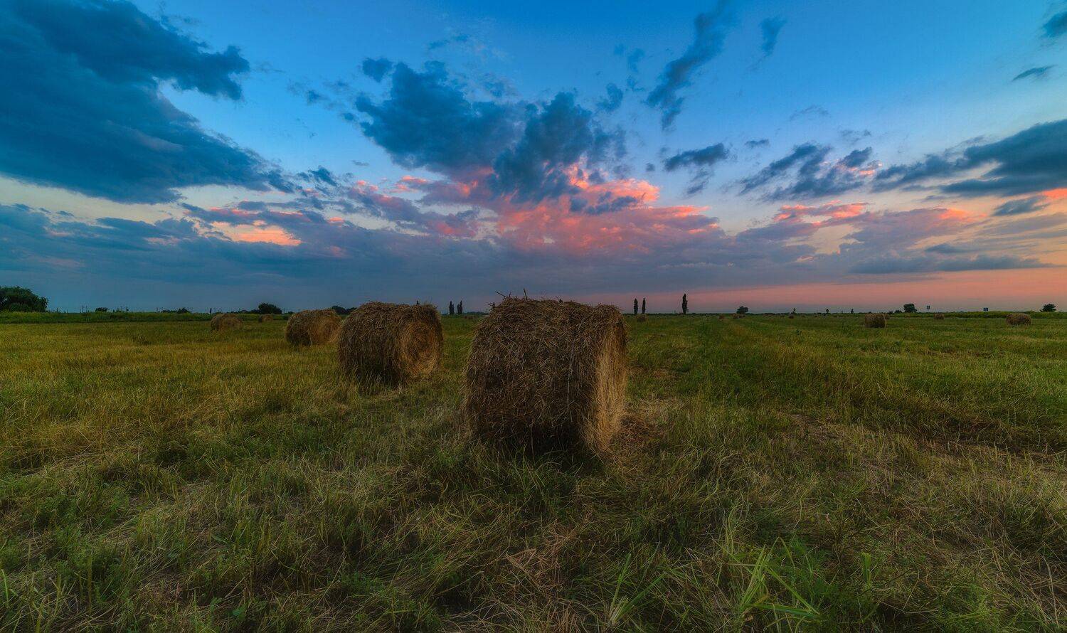 , Alexander Plekhanov