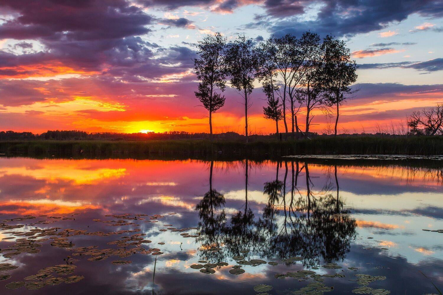 , Павел Сагайдак