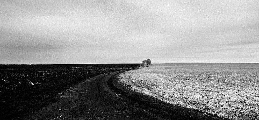 чб,пейзаж,поле, Мария Буданова