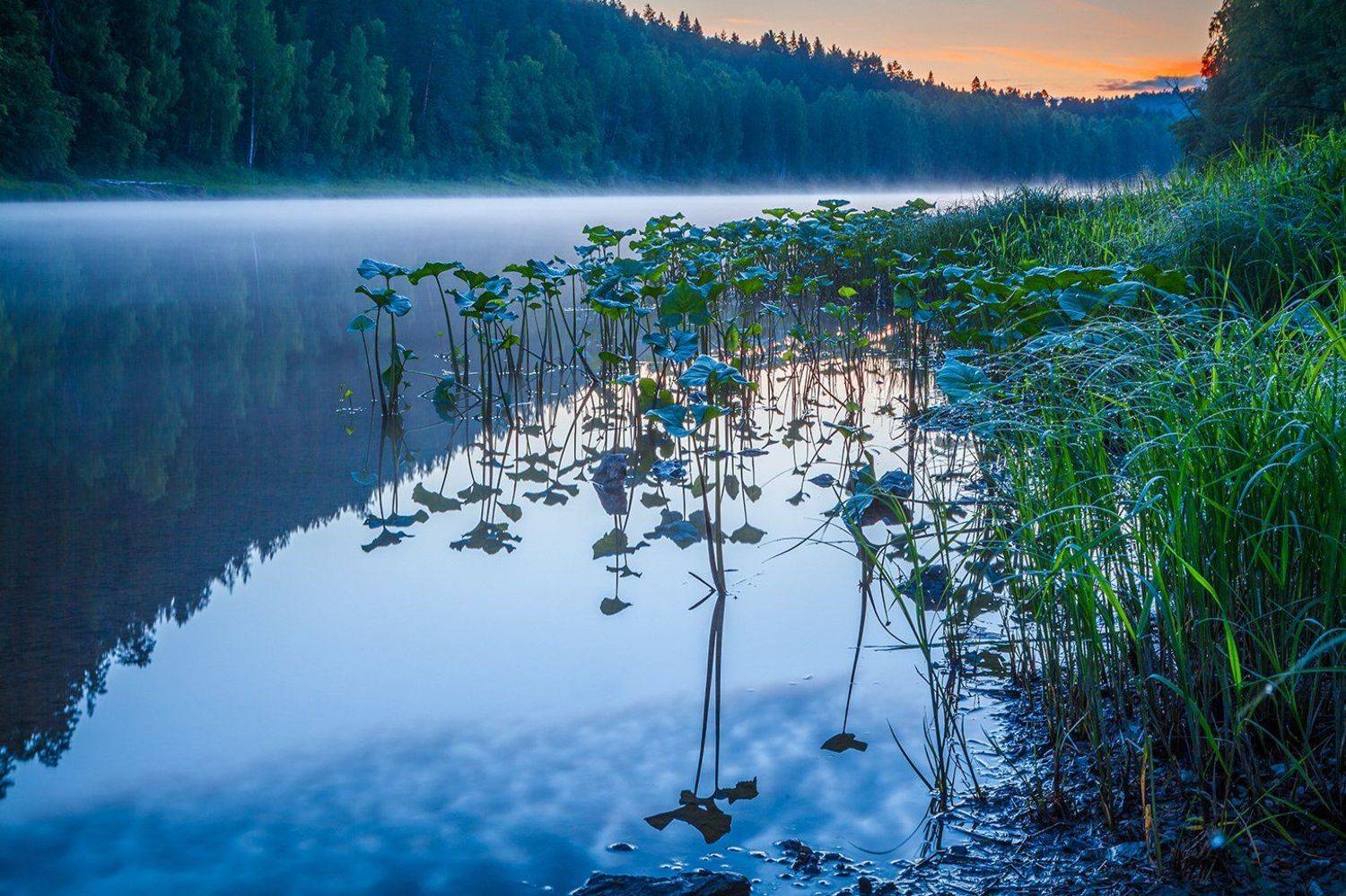 , Андрей Бортников