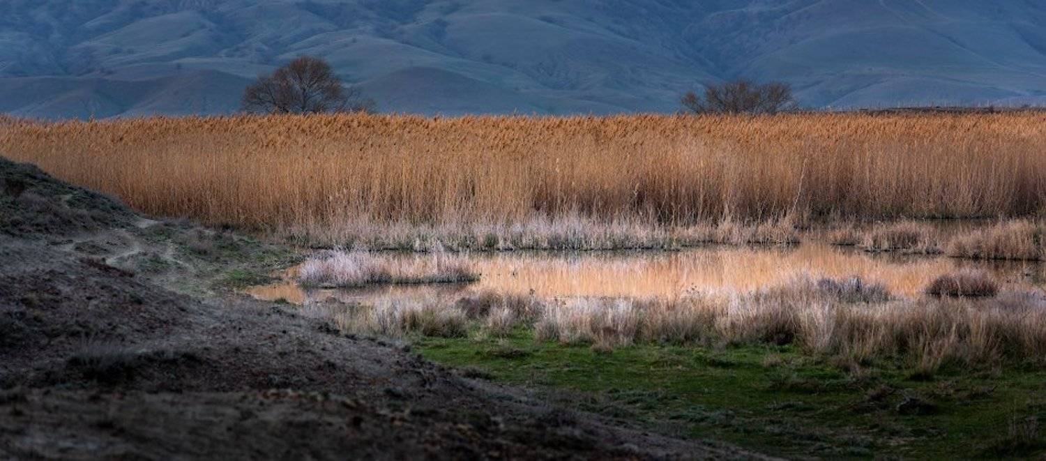 , Андрей Гусаченко