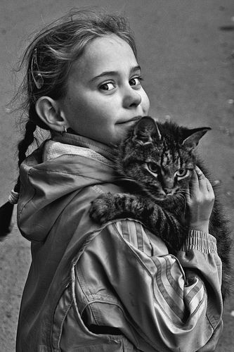 Чудо с кошечкой. 2008