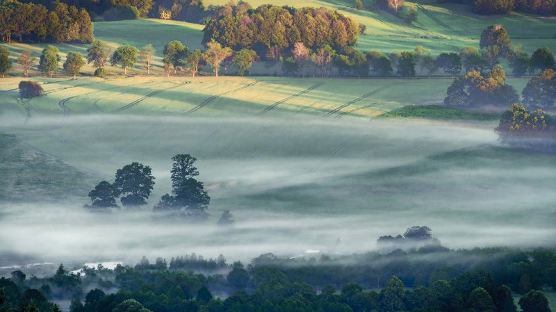 forest, fog, morning, spring, fields, trees Morning light фото превью