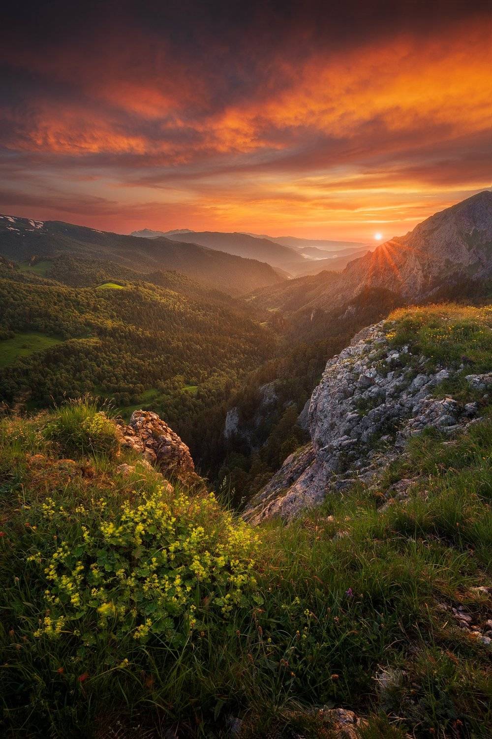 , Бахышев Сафар