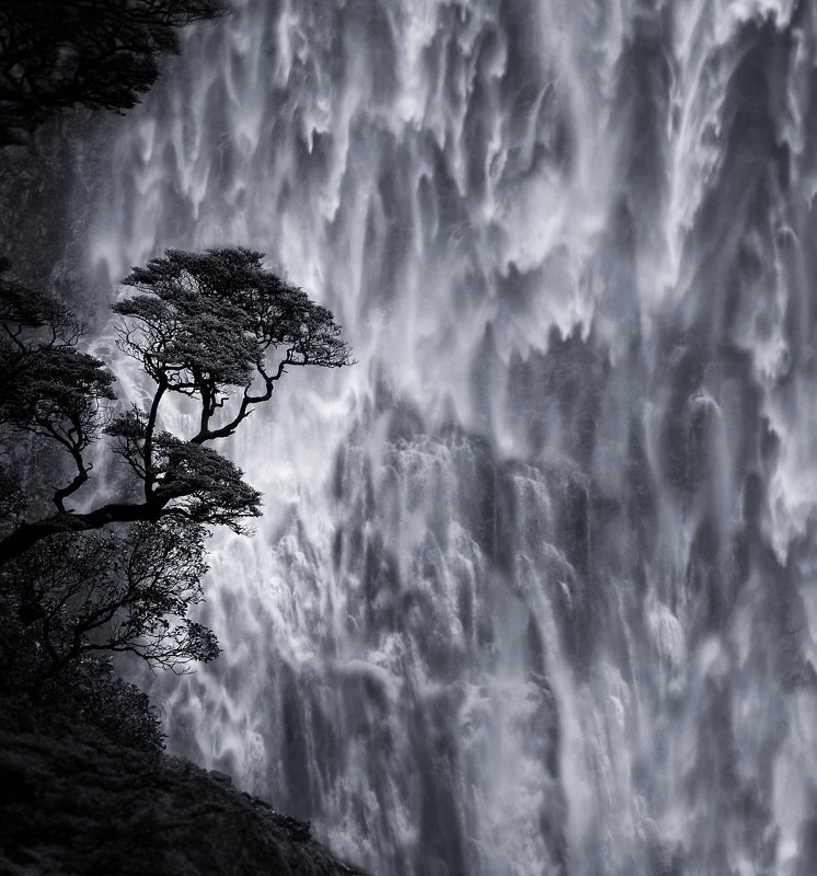 ** фото превью