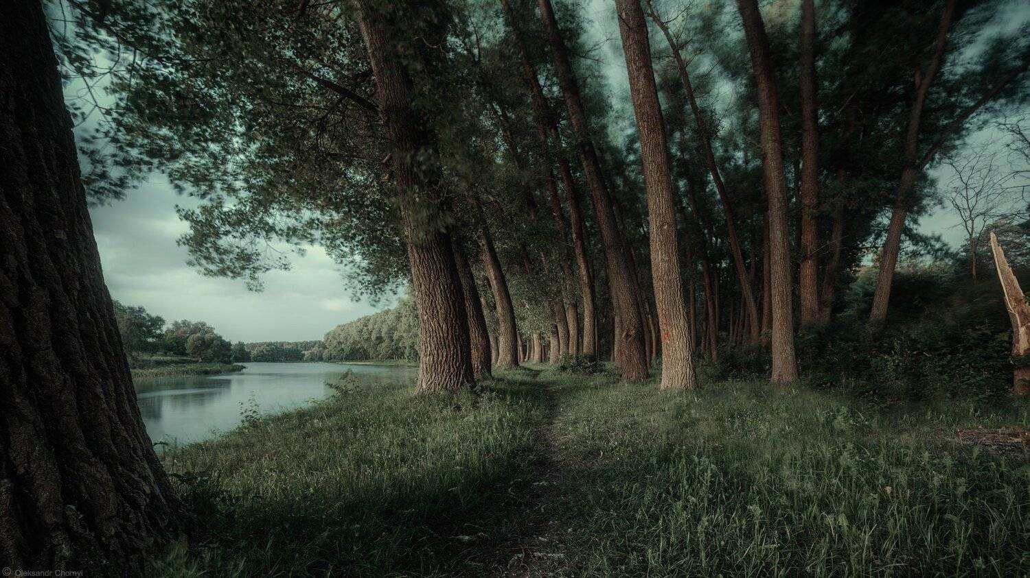 берег, ветер, гармония, деревья,	жизнь, зеленый, природа, река, свобода, тетерев, трава, тропинка, украина, фотограф, коростышев, бытие, чорный, Александр Чорный
