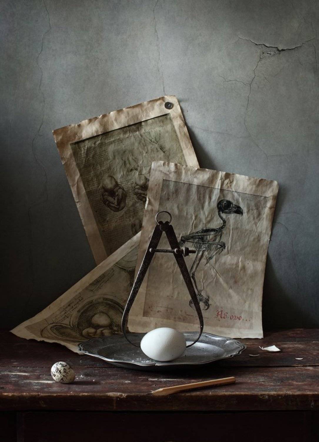 , Диана Амелина