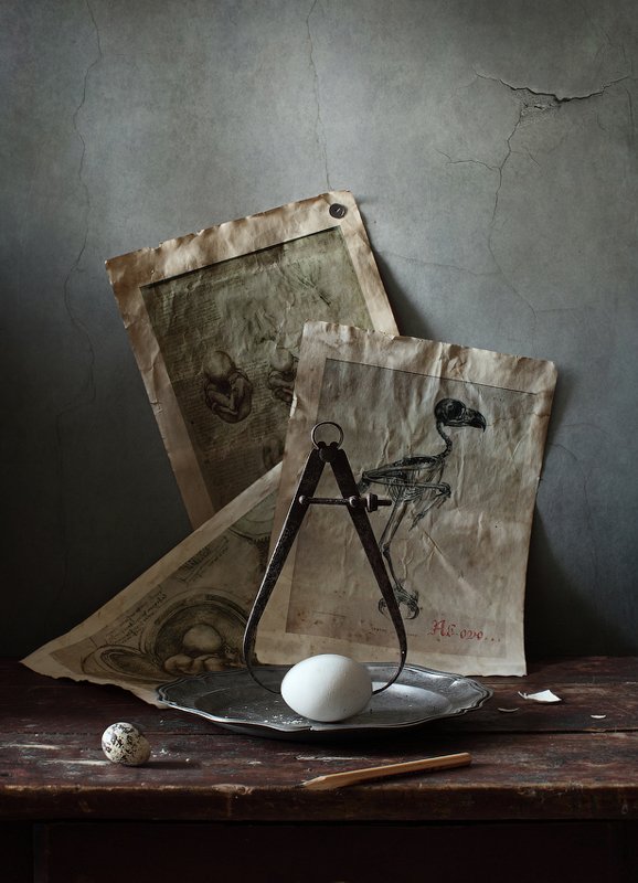 Ab ovo... - От яйца... фото превью