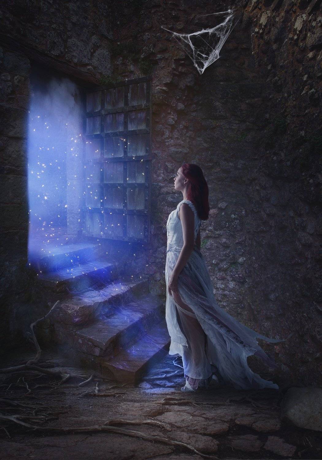 девушка, двери, дом, Sergii Vidov