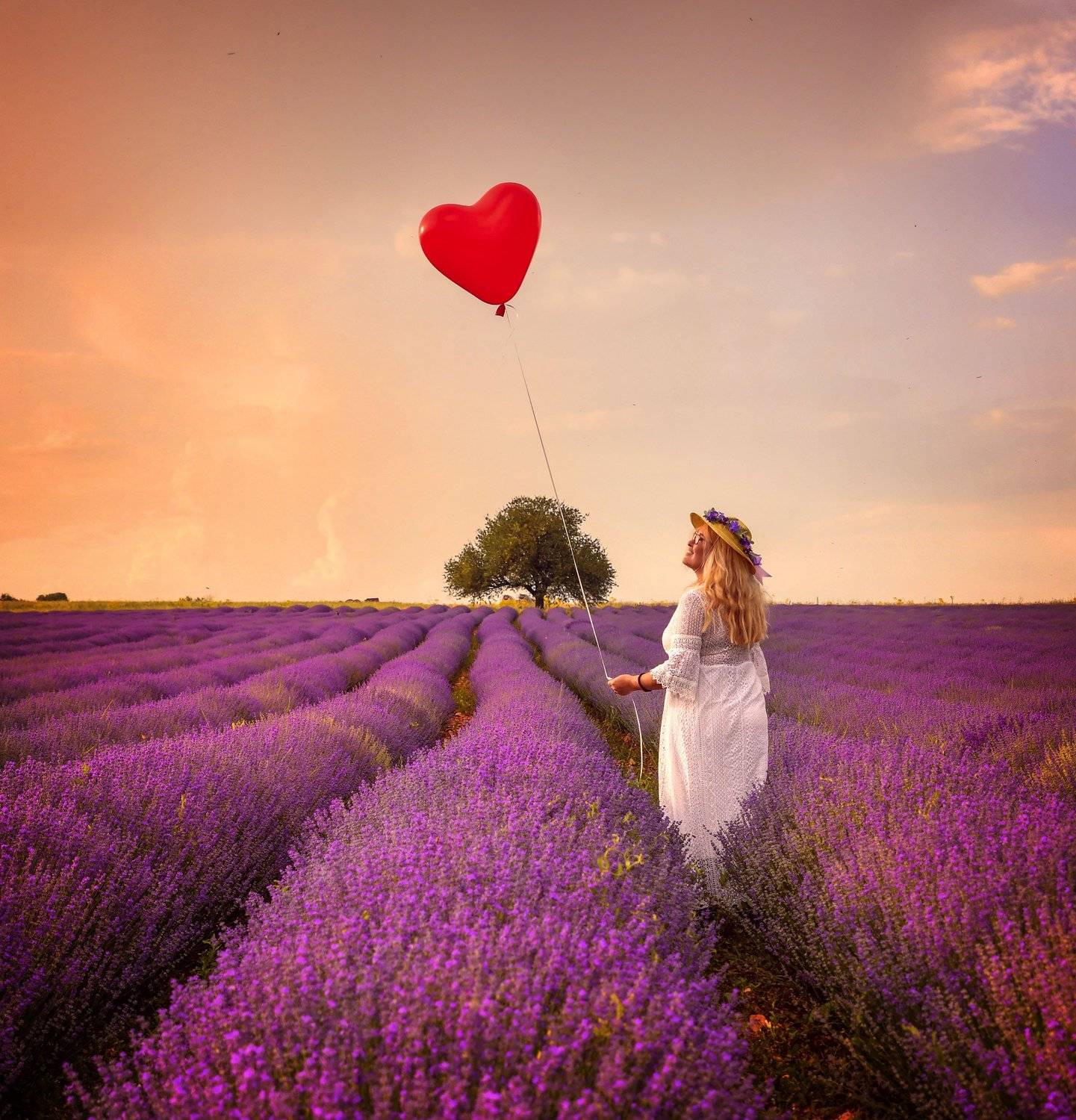 Landscape, Teodora Ivanova