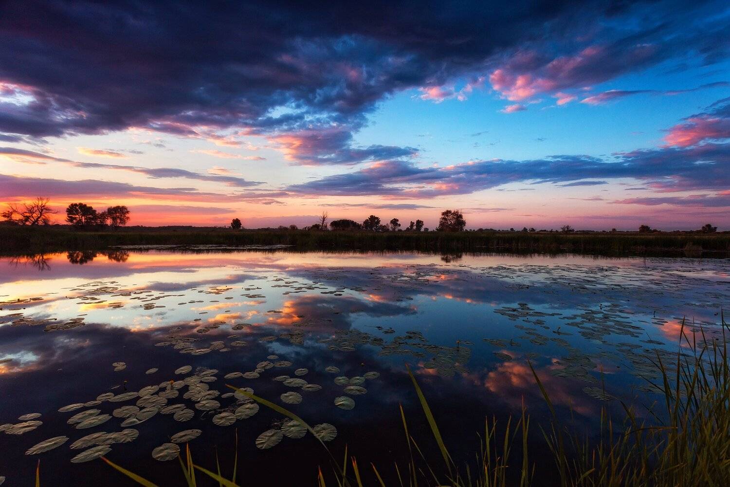 , Павел Сагайдак