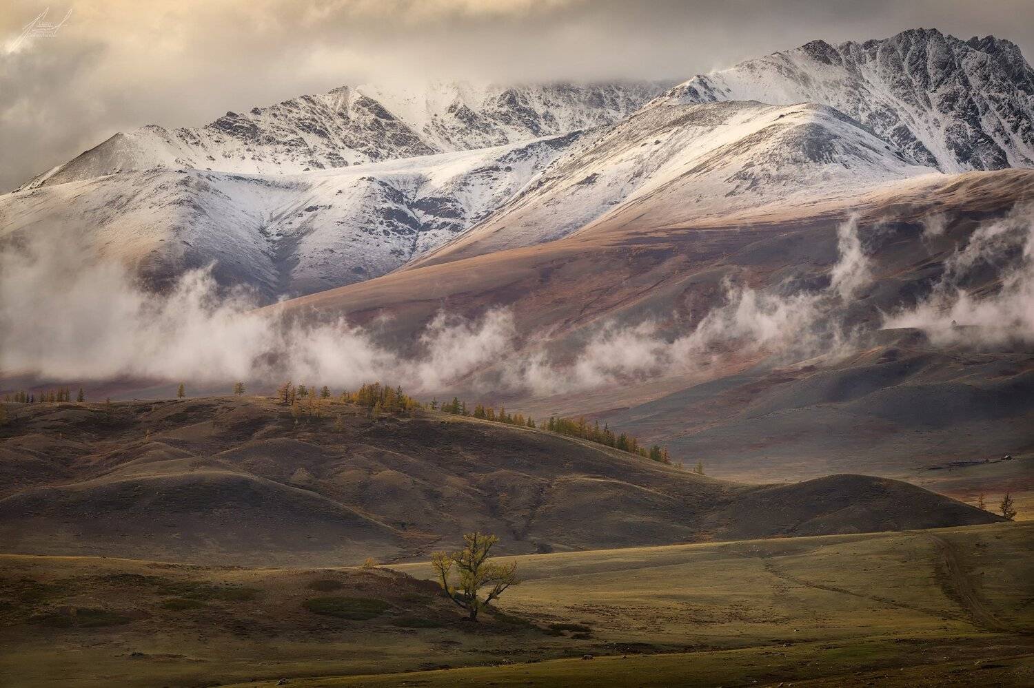 , Юрий Головченко