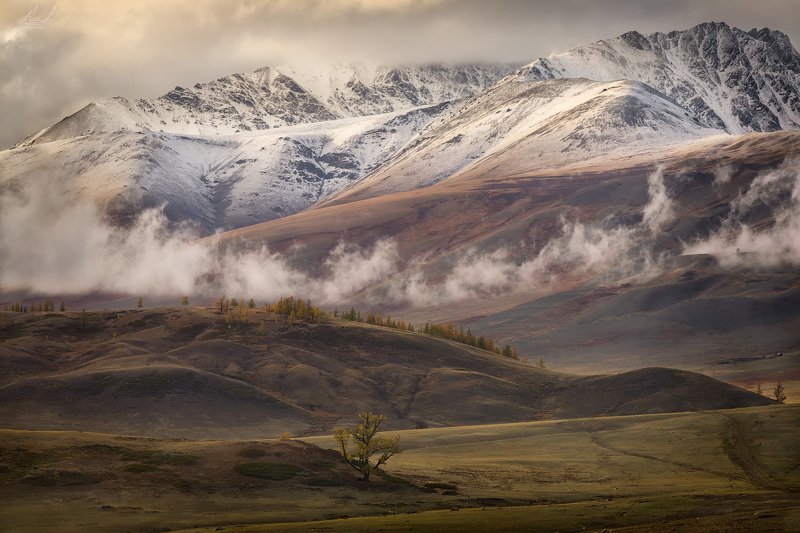 Вдоль Чуйского тракта фото превью