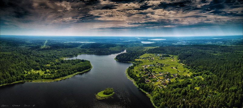 ленинградская область_выборгский район_озеро утиное_лес_июнь_лето_остров Утиное озеро. фото превью