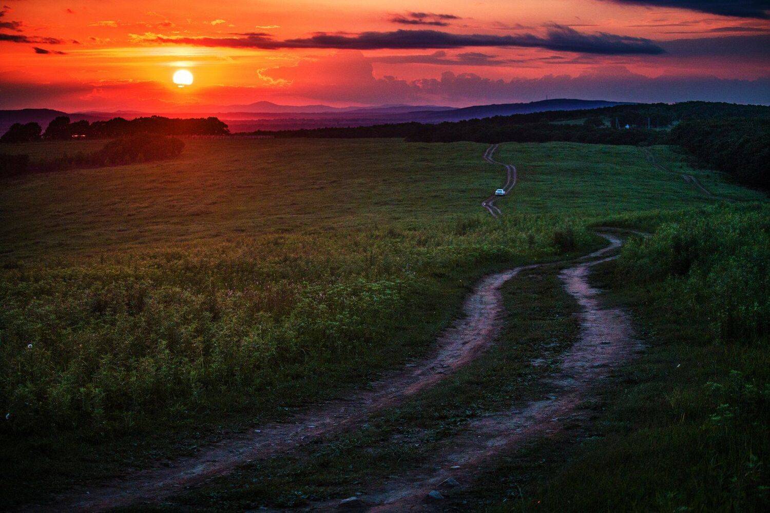 , Сигида Дмитрий