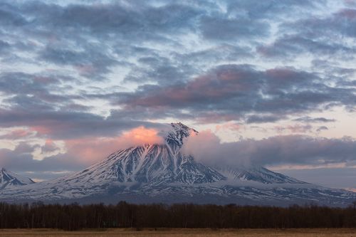 Корякский исполин 