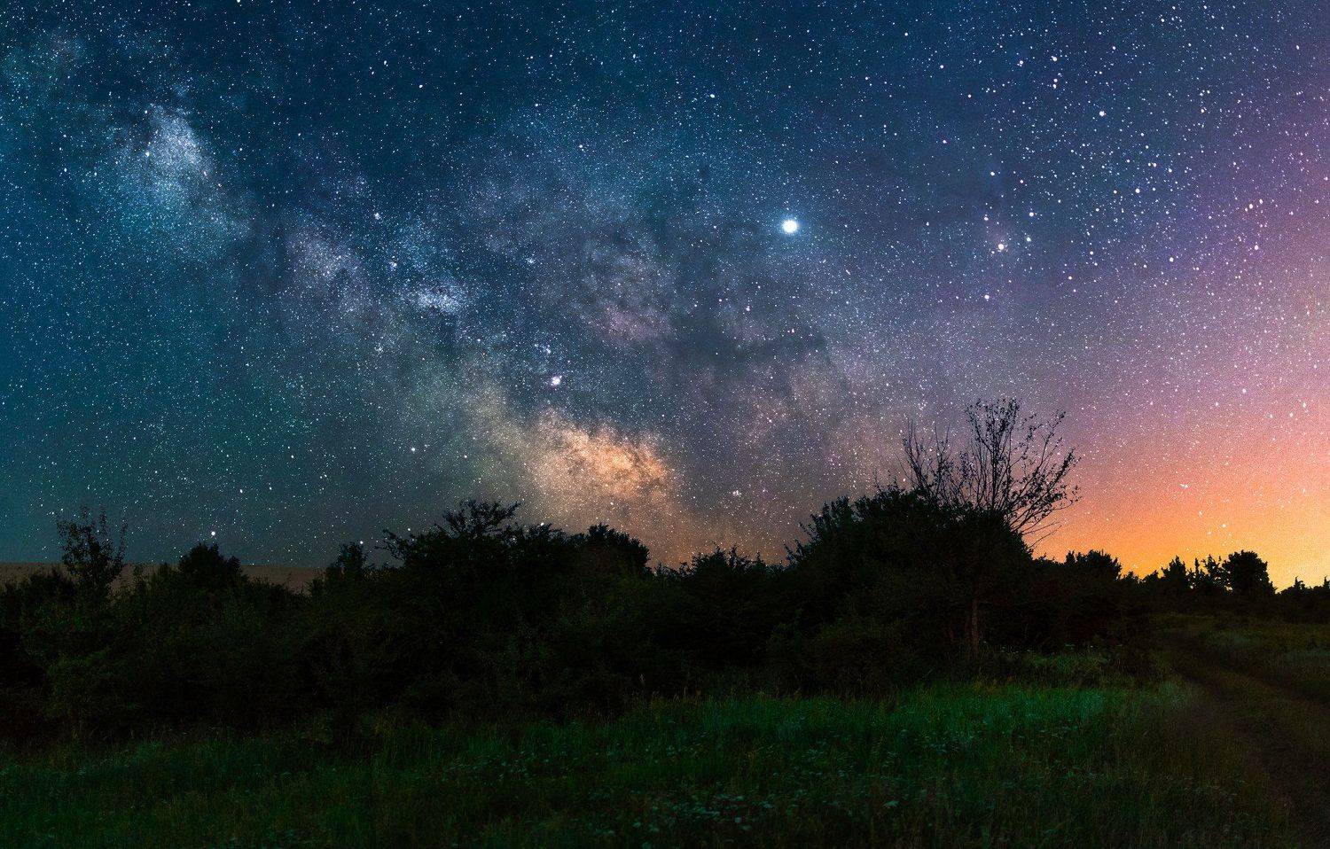 ceclii, nikon d3400, Tsvetan Ganev