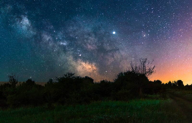 ceclii, nikon d3400  фото превью