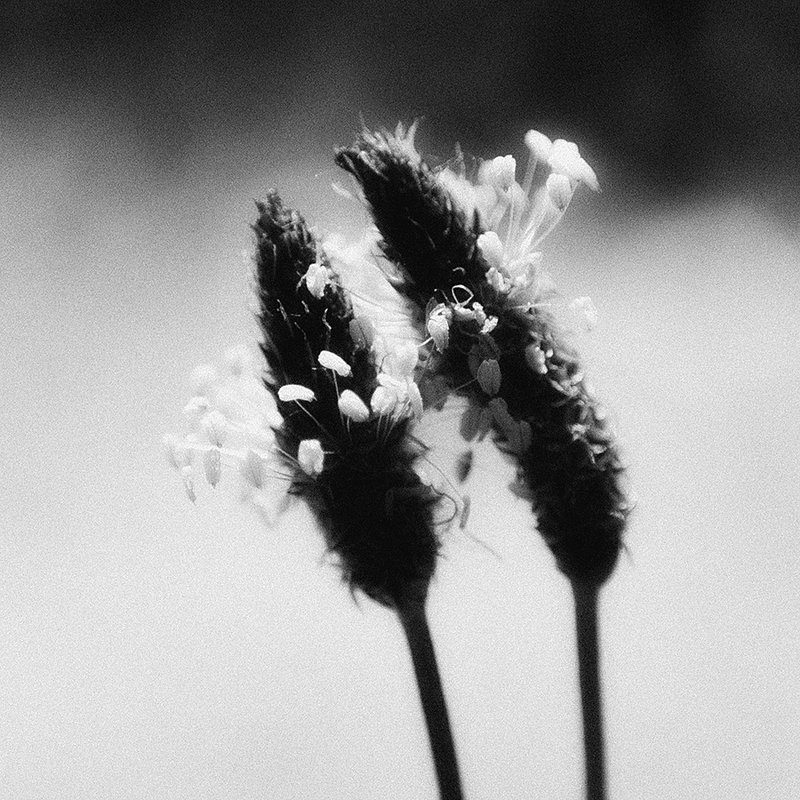 Любовь фото превью